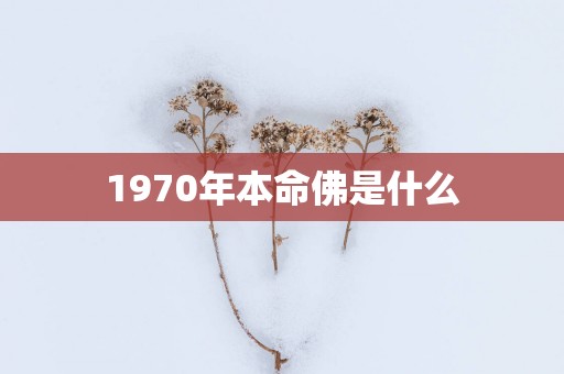 1970年本命佛是什么