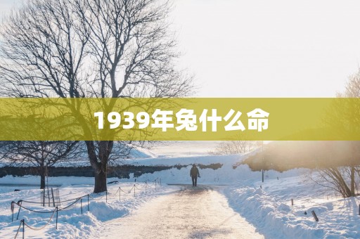 1939年兔什么命