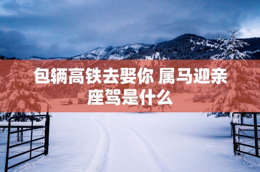 包辆高铁去娶你 属马迎亲座驾是什么
