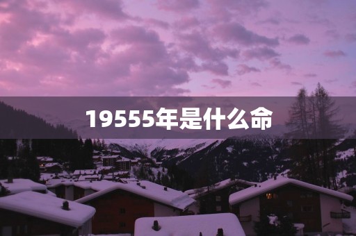19555年是什么命