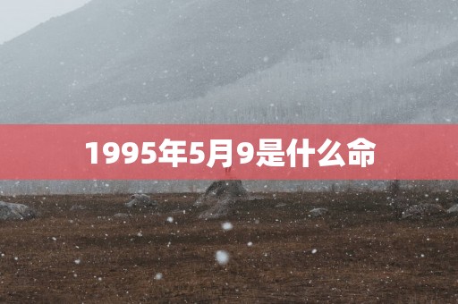 1995年5月9是什么命