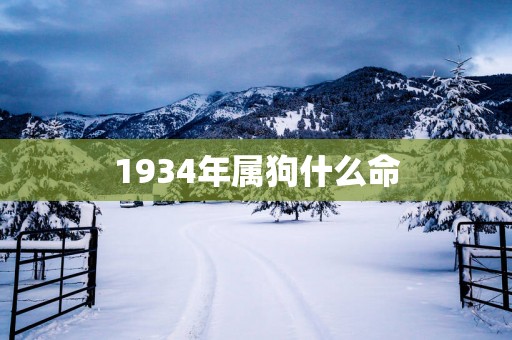 1934年属狗什么命