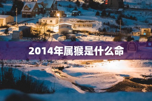2014年属猴是什么命