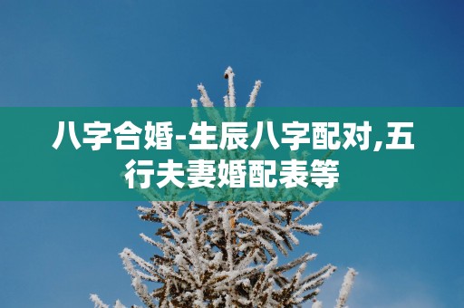 八字合婚-生辰八字配对,五行夫妻婚配表等