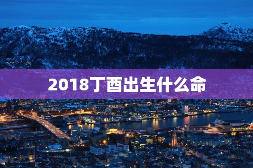 2018丁酉出生什么命