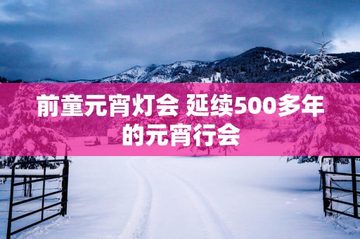 前童元宵灯会 延续500多年的元宵行会
