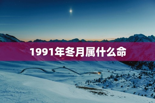 1991年冬月属什么命