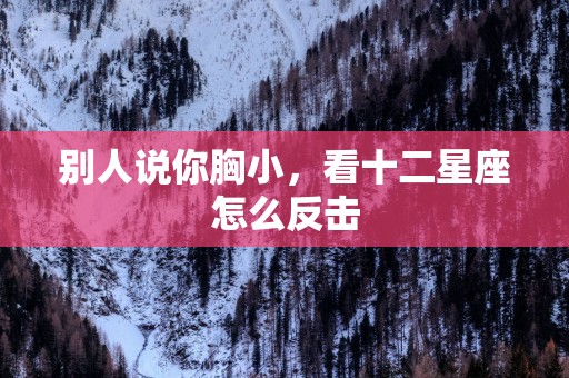 别人说你胸小，看十二星座怎么反击