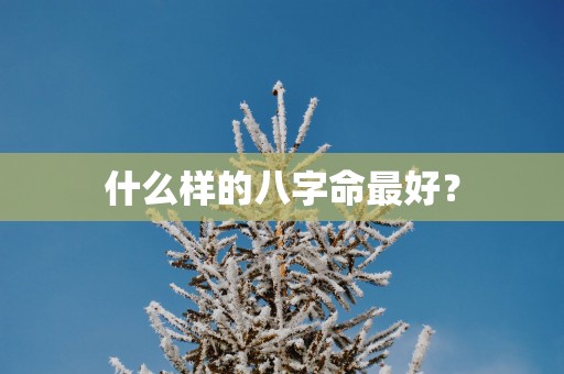 什么样的八字命最好？