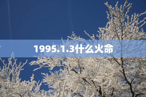 1995.1.3什么火命 1995.1.3什么火命
