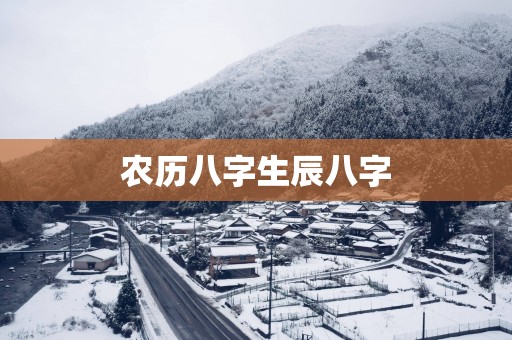 农历八字生辰八字
