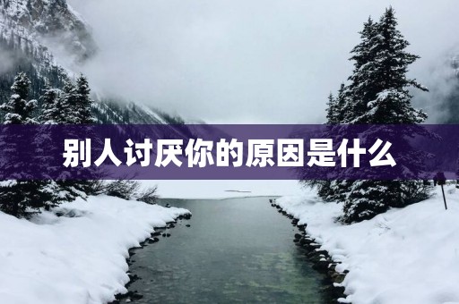 别人讨厌你的原因是什么