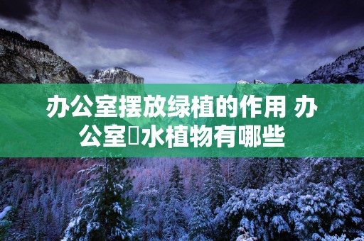 办公室摆放绿植的作用 办公室風水植物有哪些