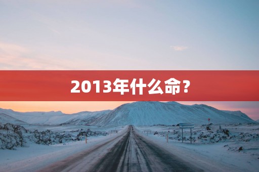 2013年什么命？