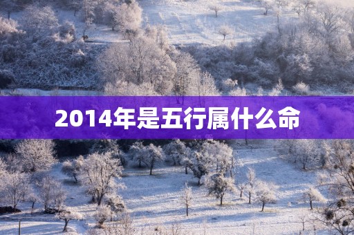 2014年是五行属什么命