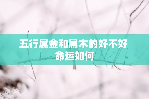 五行属金和属木的好不好 命运如何