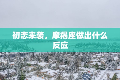 初恋来袭，摩羯座做出什么反应