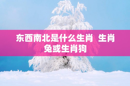 东西南北是什么生肖  生肖兔或生肖狗