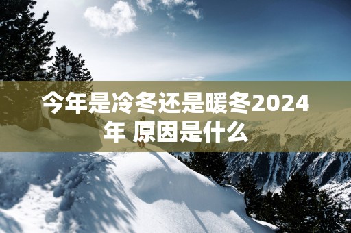 今年是冷冬还是暖冬2025年 原因是什么