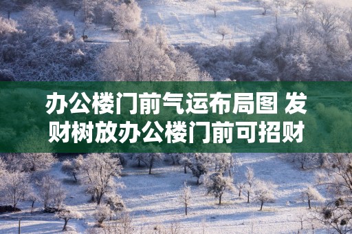 办公楼门前气运布局图 发财树放办公楼门前可招财