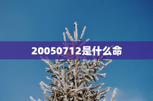 20050712是什么命