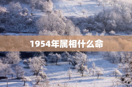 1954年属相什么命