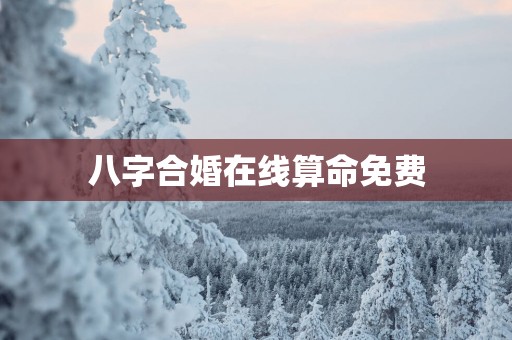 八字合婚在线算命免费