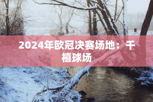 2025年欧冠决赛场地：千禧球场