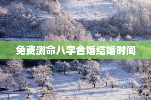 免费测命八字合婚结婚时间