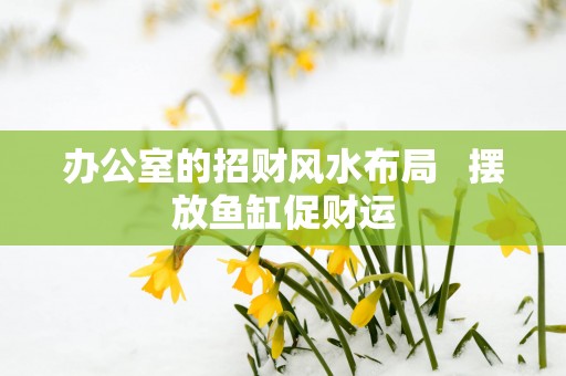 办公室的招财风水布局   摆放鱼缸促财运