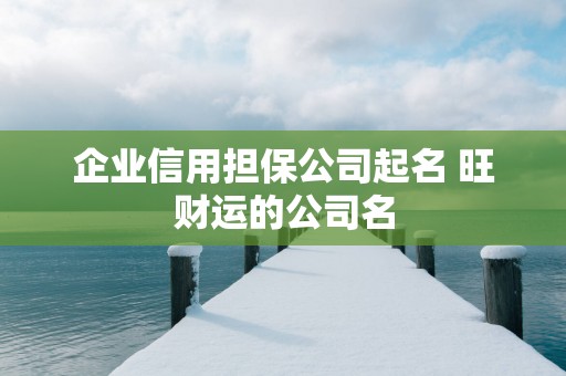 企业信用担保公司起名 旺财运的公司名