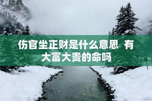 伤官坐正财是什么意思  有大富大贵的命吗