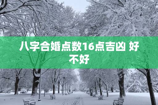 八字合婚点数16点吉凶 好不好