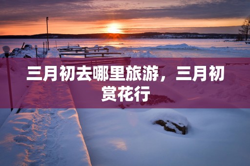 三月初去哪里旅游，三月初赏花行