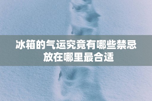 冰箱的气运究竟有哪些禁忌  放在哪里最合适