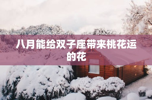 八月能给双子座带来桃花运的花