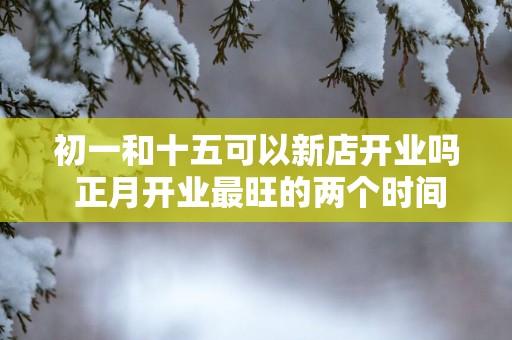 初一和十五可以新店开业吗 正月开业最旺的两个时间