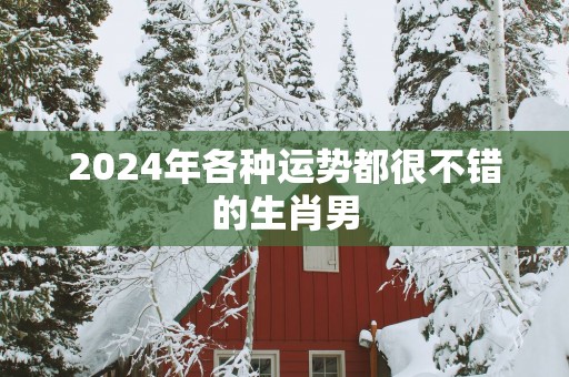 2025年各种运势都很不错的生肖男
