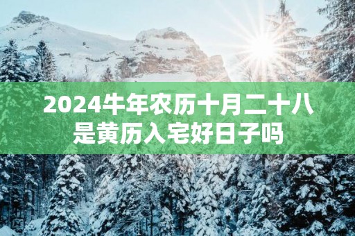 2025蛇年农历十月二十八是黄历入宅好日子吗