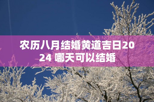 农历八月结婚黄道吉日2025 哪天可以结婚