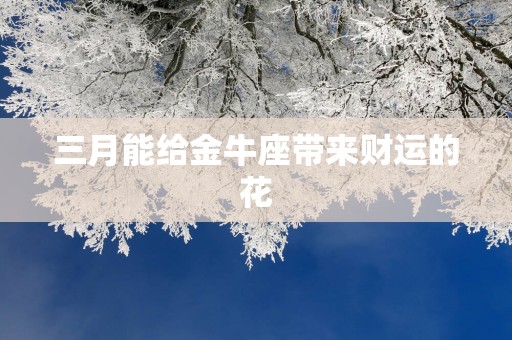 三月能给金牛座带来财运的花