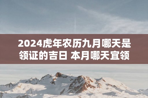 2025蛇年农历九月哪天是领证的吉日 本月哪天宜领证