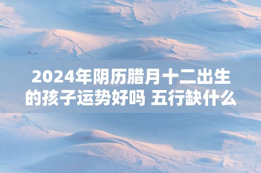 2025年阴历腊月十二出生的孩子运势好吗 五行缺什么