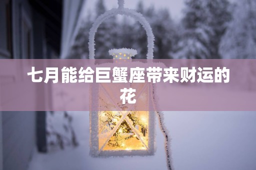 七月能给巨蟹座带来财运的花