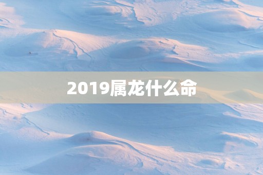 2019属龙什么命