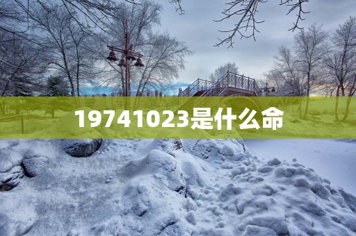 19741023是什么命