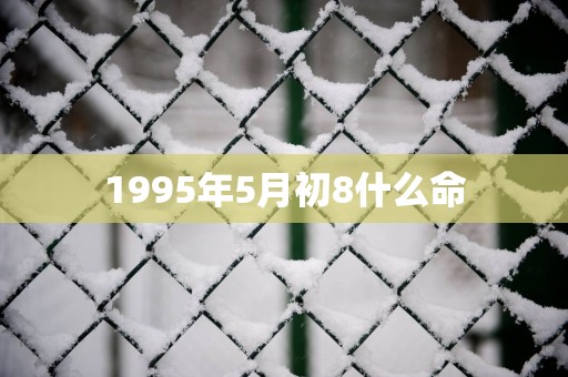 1995年5月初8什么命