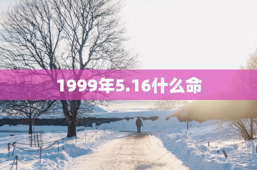 1999年5.16什么命