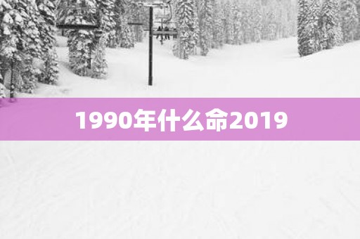 1990年什么命2019