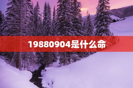 19880904是什么命